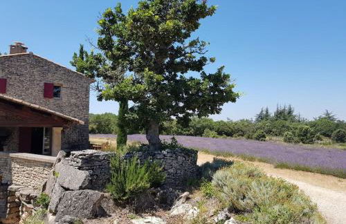 Maison de caractère dans Luberon avec piscine - Foto 55