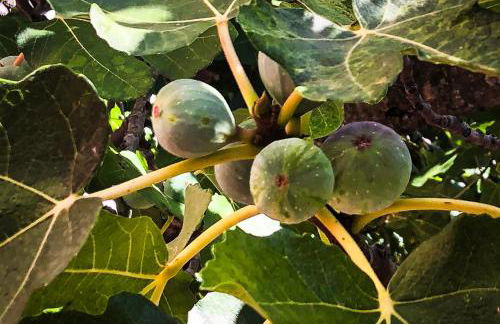 Secluded house with amazing view and swimming pool - Foto 43