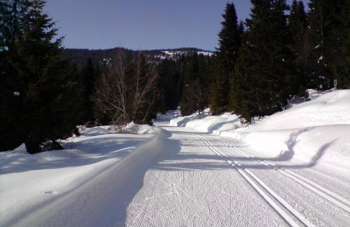 Living in Nature - Foto 32