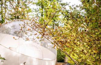 La Canopee - Foto 23