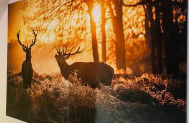 Apartment am Park - Foto 9