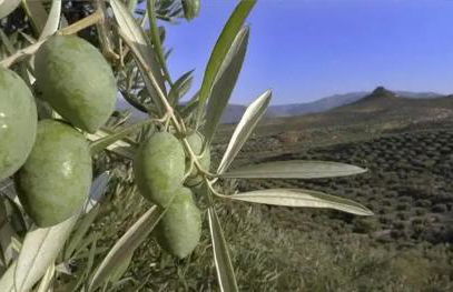 EL CONVENTO Vivienda Rural Jaén Andalucía España - Foto 38