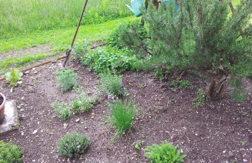 A casa di Albino e Giovannina - Foto 13