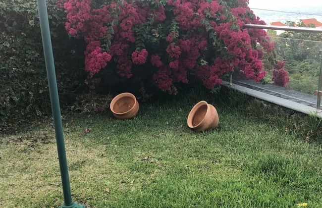 P Delgada 3-bed House, Sleeps 6, Parking & Seaview - Foto 18