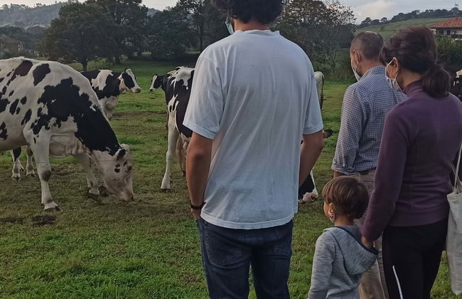 Visita a una granja de vacas lecheras - Foto 1