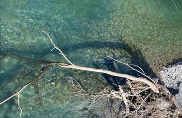 Casona Rural de Lujo con increíbles vistas, La Casa de Rafael, ahora con 4 habitaciones - Foto 51