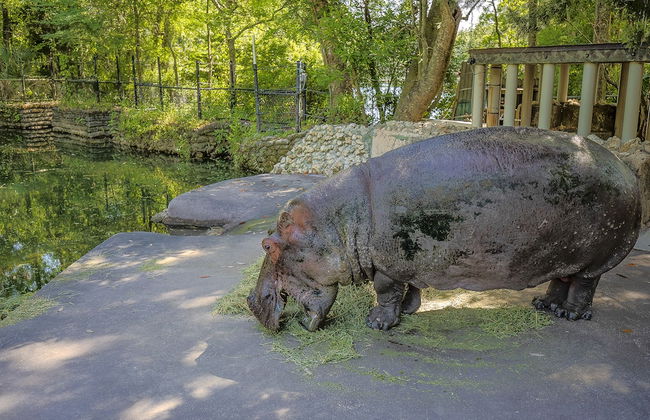 SASSA Boutique Homes - Foto 18