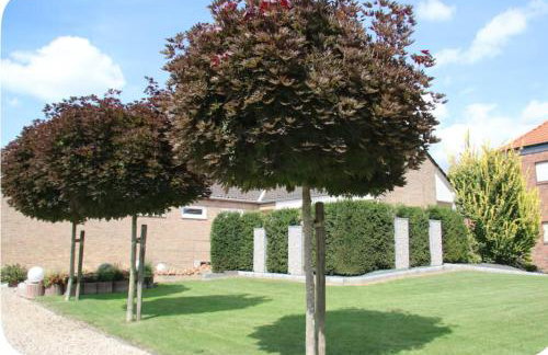 Haus Am Damm - Foto 12