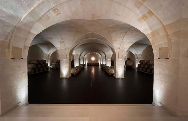 Gianfranco Fino Viticoltore - Foto 24