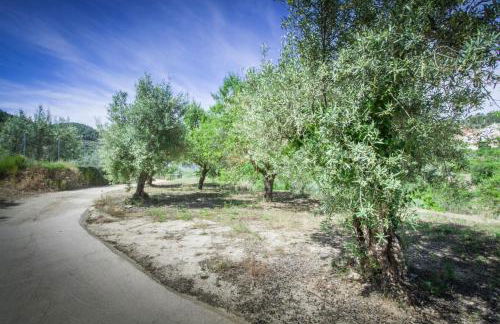 Casa Amparo - Alquiler íntegro con encanto en Alicante - Foto 30