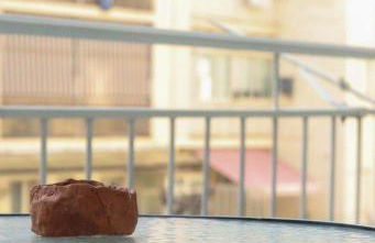 La tana di Pumba - Foto 6