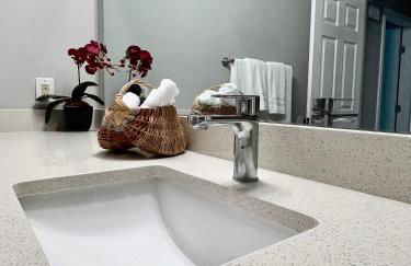 Modern 2 bedroom house w/backyard @La Cantera - Foto 10