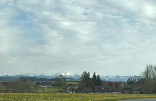 Eistobel und Felderhalde - Foto 36