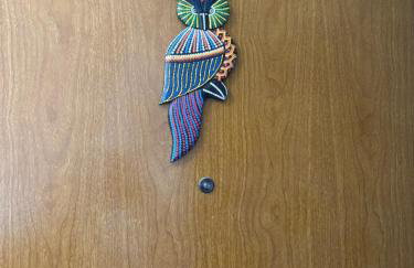 Apes Raizes Douradas - Foto 72