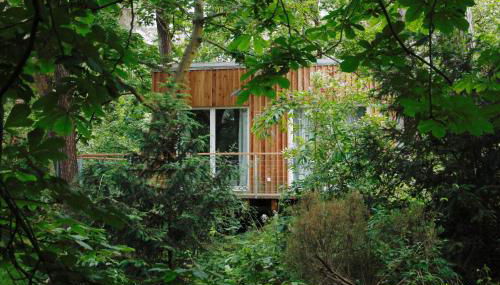 Waldhaus am Meer - Foto 4