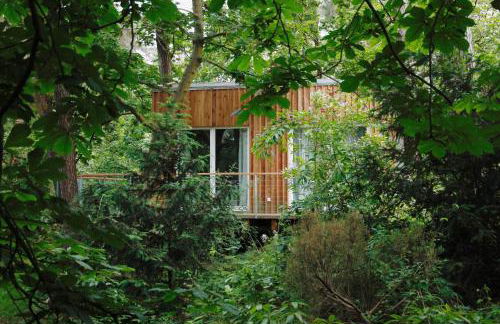 Waldhaus am Meer - Foto 4