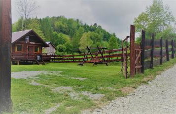 Gumisiówka - Foto 26