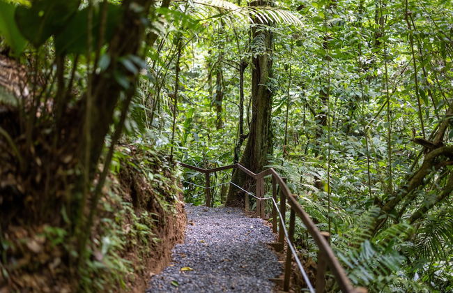 Cabañas Caeli, Peaceful Rainforest Retreat with Stunning Views - Foto 22