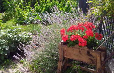 CASA IDA - ClPAT 22253 - Photo 26