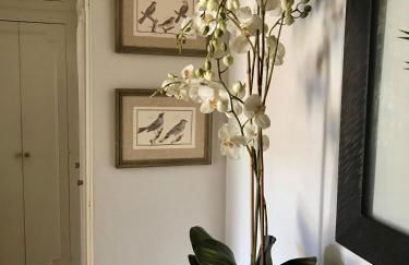 Magnifique 2 pièces de 65m2 -quartier des Musiciens - Foto 19