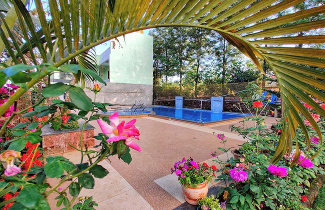 Strawberry Land Resort - Photo 27