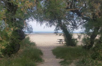 Au cœur du Bassin d'Arcachon - Foto 42