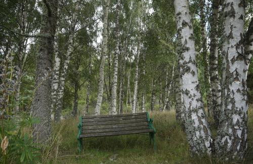 Charming cottage close to the Cairngorms - Foto 20