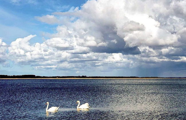 10 Person Holiday Home in Stathelle-by Traum - Foto 10