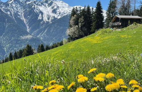 Le petit érable - Vue Mont Blanc - Foto 28