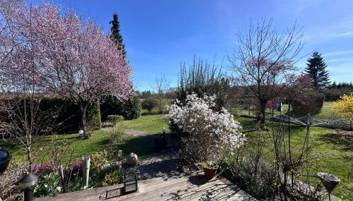 Haus Ostseesprung - Fewo Sarah Hochparterre gratis WLAN, Parkplatz und gem Garten - Foto 5