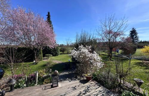 Haus Ostseesprung - Fewo Sarah Hochparterre gratis WLAN, Parkplatz und gem Garten - Foto 5