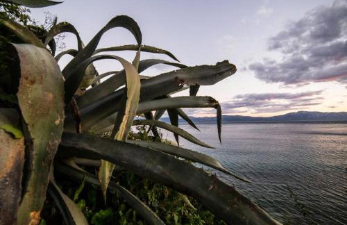 Apartments Ante - Foto 41