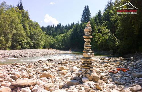 Apartment LICHTENSTERN - Foto 30