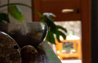 Le Tartarughe di Ro' Casavacanze - Photo 57