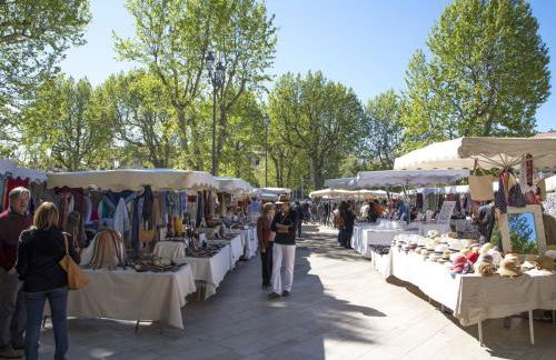 La Pineda de Provence - Foto 14