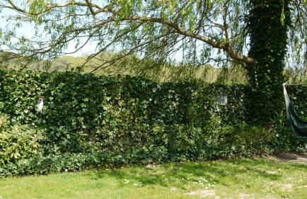 Elbe Ferien - Foto 53