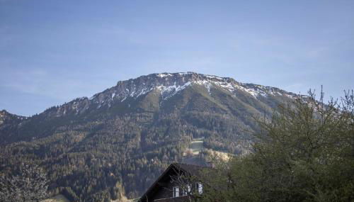 Haus Bergliebe - Foto 4