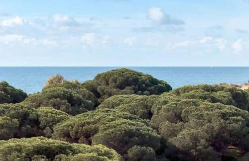 Acogedor y tranquilo apartamento - Foto 16