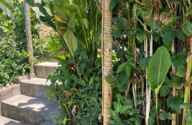 Chalé Tiririca Surf & Mar - Foto 61