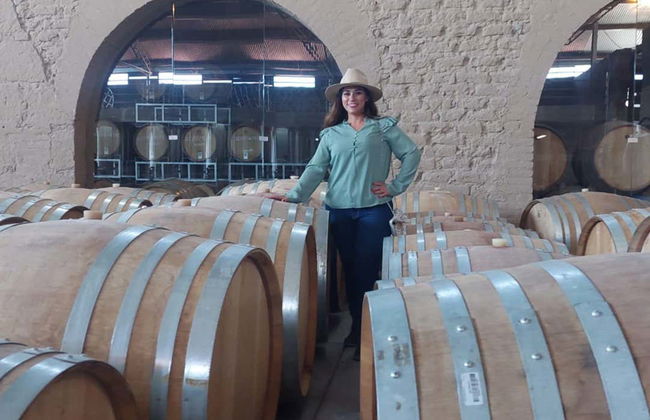 Aguascalientes Private Winery Tour - Foto 7