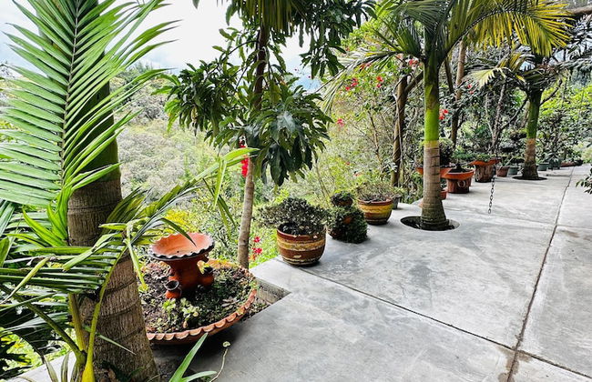 ecohotel zona 7 - Photo 45