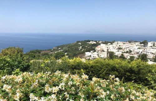 Agriturismo del Sole - Foto 47