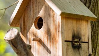 Chalet 16 pâquerette - Foto 4