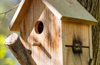 Chalet 16 pâquerette - Foto 4