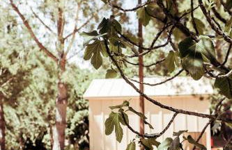 Cabanas de Melides - Foto 29