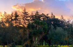 Quinta Vale da Paz - Foto 40