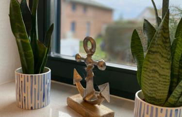 Ferienwohnung Groß Zicker - Foto 13