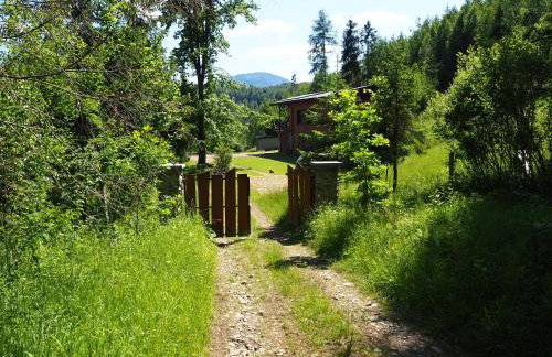 Sarnówka KDN - Foto 12