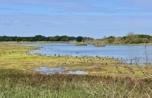 Sonnenblumenhaus - Foto 35