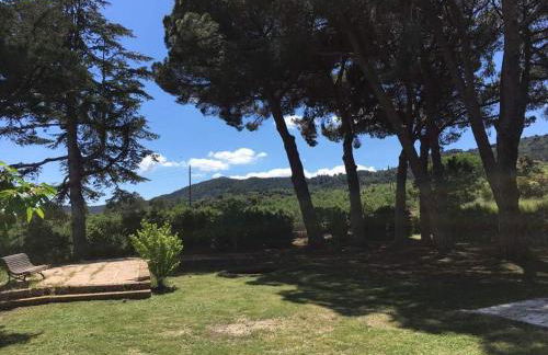 Mas Perdiueta - Foto 16